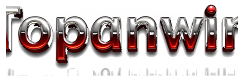 topanwin login logo
